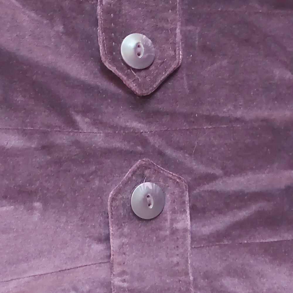 Coldwater Creek Velvet Blazer - Picture 6 of 7